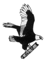 Eagle Engineering Logo